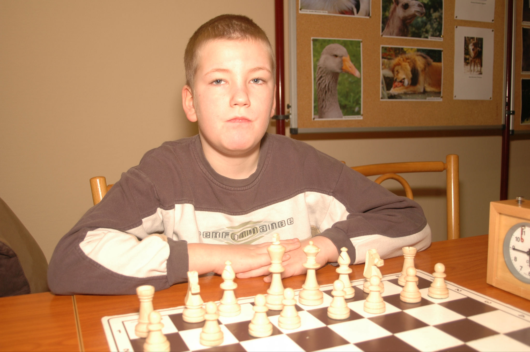 Vorschau